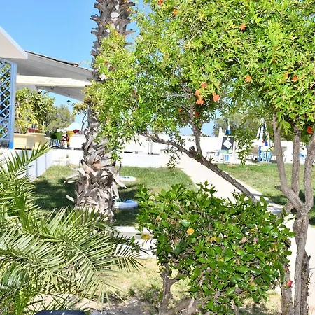 Kos Olympia Apartments At Lambi Beach Apartment Kos Town